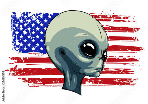 alien extraterrestrial green face with american flag photo