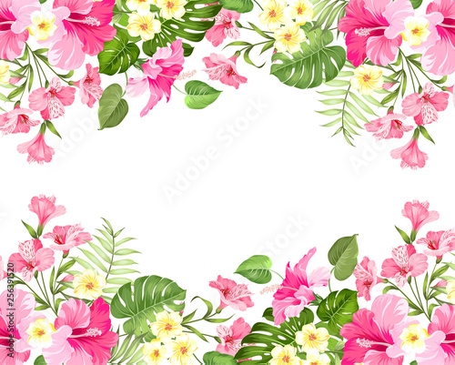 Summer vacation card. Tropical flowers of plumeria and hibiscus at the label. Tropical palm branches with text space on the center of the image. Vector illustration.