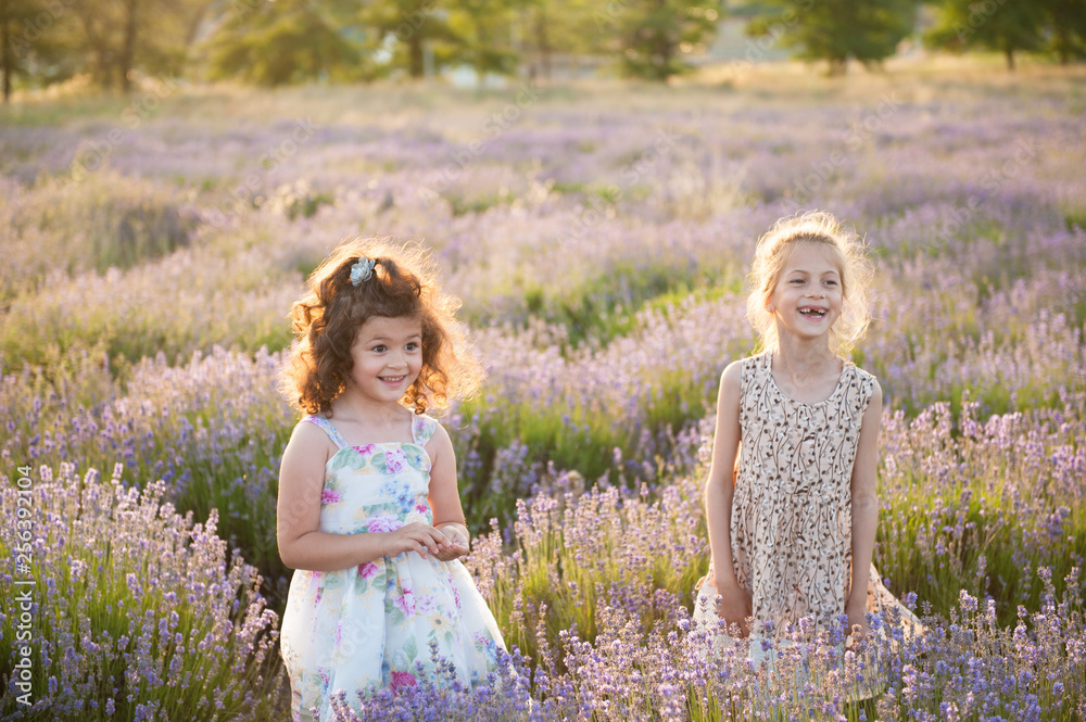 two pretty little caucasian girls in dresses laughing in summer lavender flower field