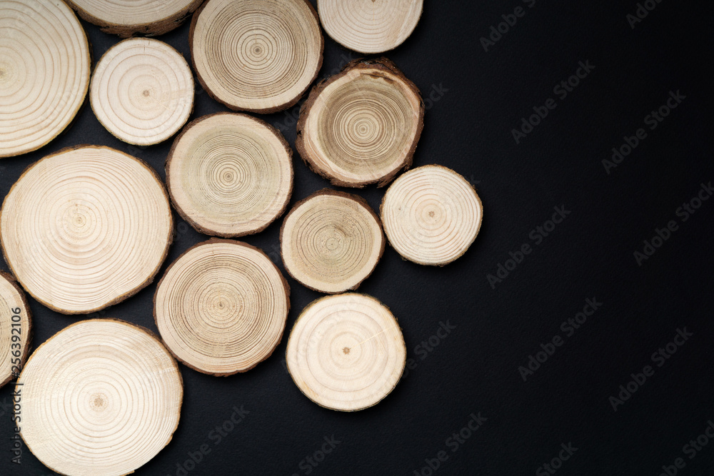 Pine tree cross-sections with annual rings on black background. Lumber piece close-up shot, top view. Pine tree cross-sections with annual rings on black background. Lumber piece close-up shot, top view.