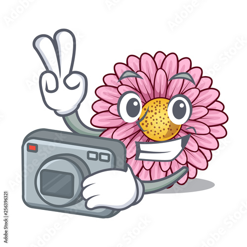 Photographer gerbera flower isolated in the cartoon