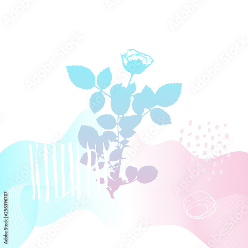Abstract floral botanical background. Realistic herbs  flowers  plants in pastel colors with doodles   texture and gradient ribbon in pastel colors on white background.