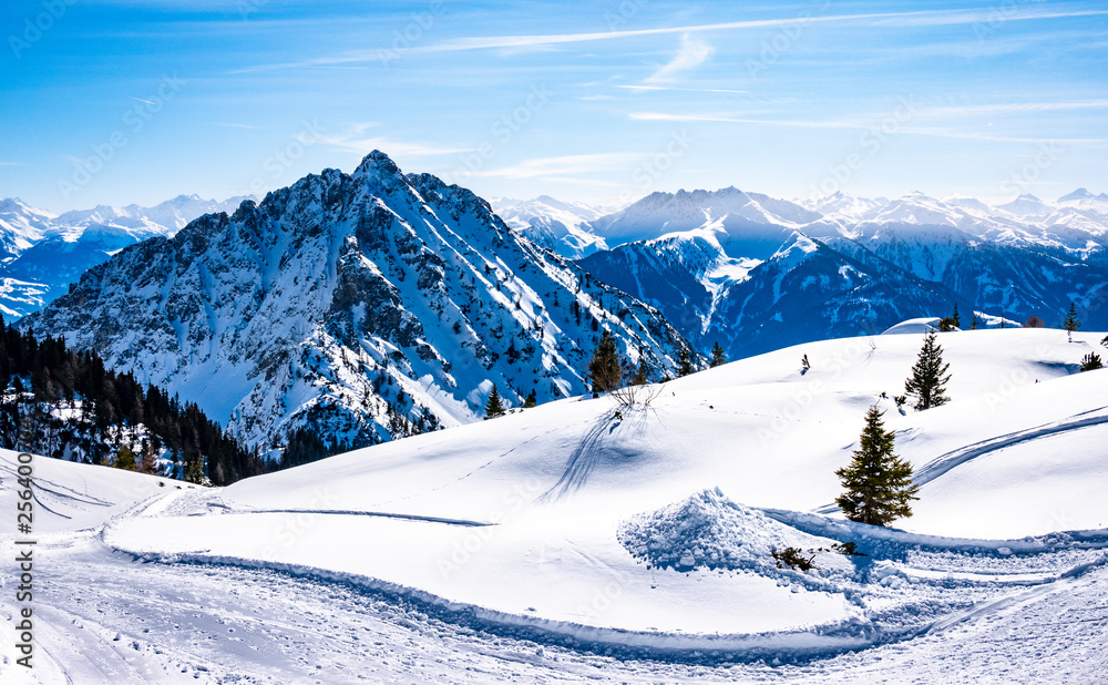 landscape near pertisau - austria