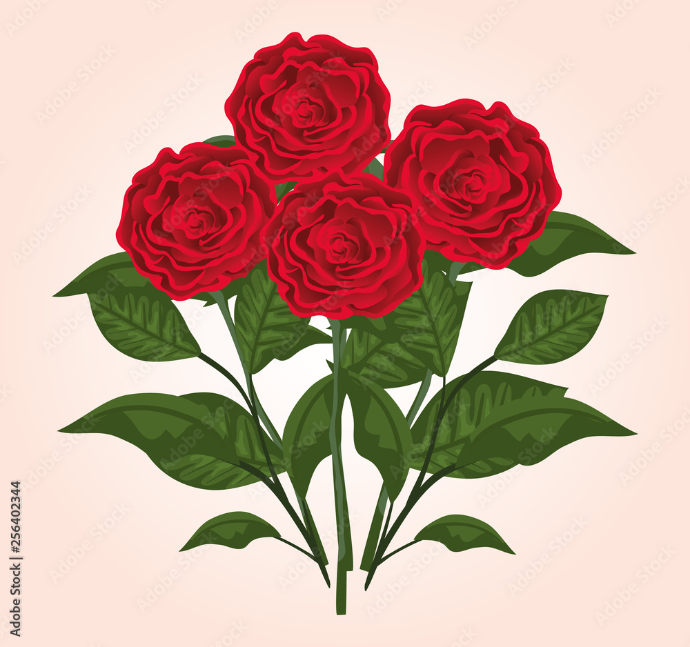 exotic roses plants with branches leaves exotic roses plants with branches leaves