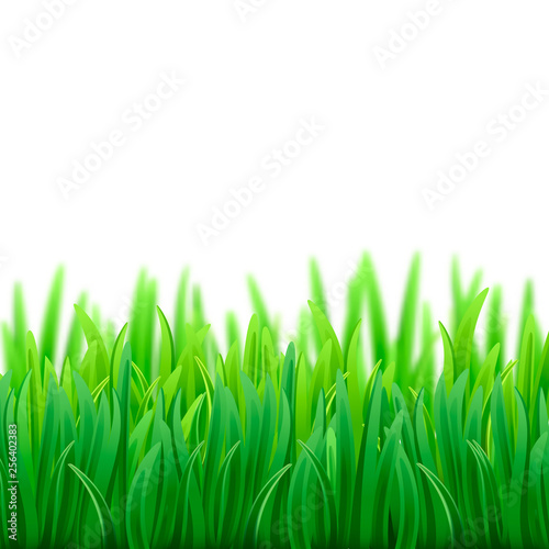 Realistic vector fresh spring green grass field