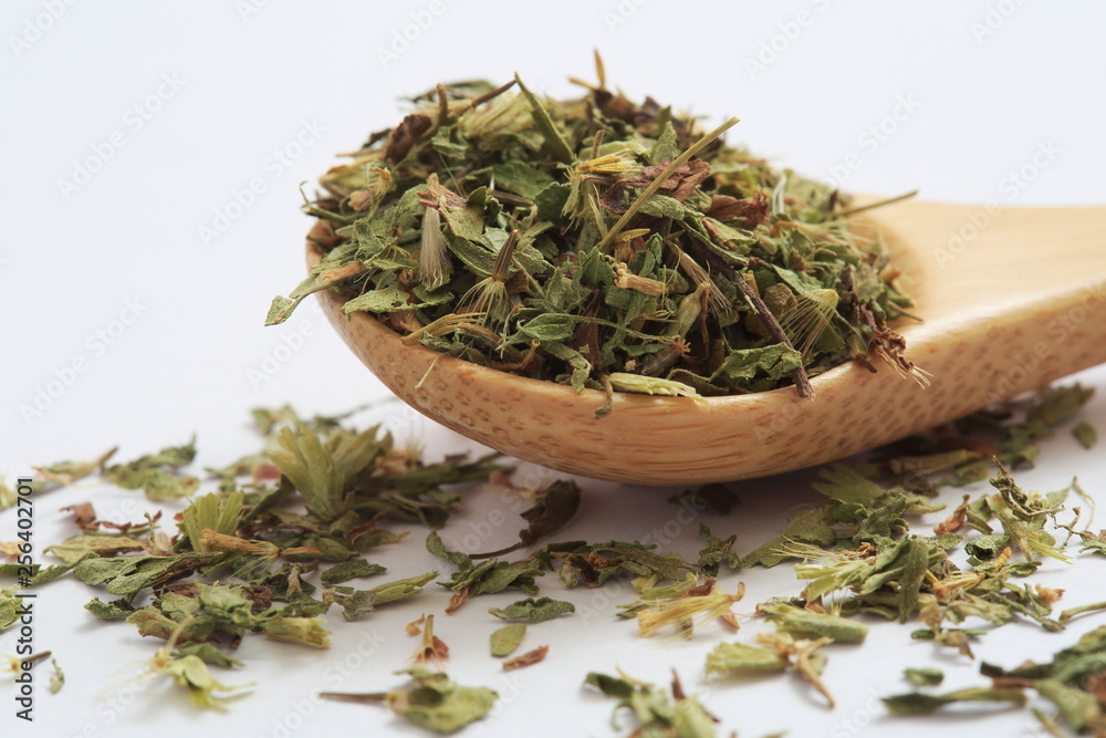 Image of Stevia leaf (herb) Image of Stevia leaf (herb)