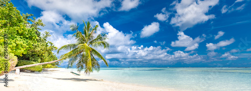Fototapeta Naklejka Na Ścianę i Meble -  Beautiful tropical beach banner. White sand and coco palms travel tourism wide panorama background concept. Amazing beach landscape