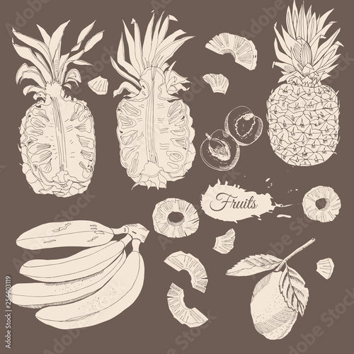 Vintage  collection of different fruits. Whole and sliced beige elemets  on dark background. Hand drawn sketch.