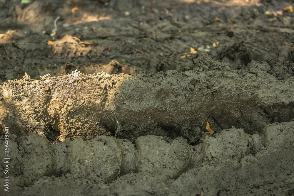 Background dirty slippery tracks of automobile tires in clay. Road wheel on land all terrain Background dirty slippery tracks of automobile tires in clay. Road wheel on land all terrain