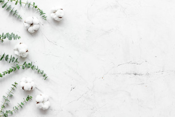 Flowers border with green eucalyptus branches and dry cotton flowers on white stone background top view space for text