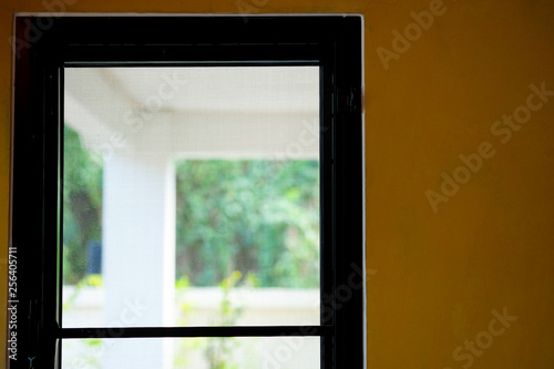 Door with the yard of background