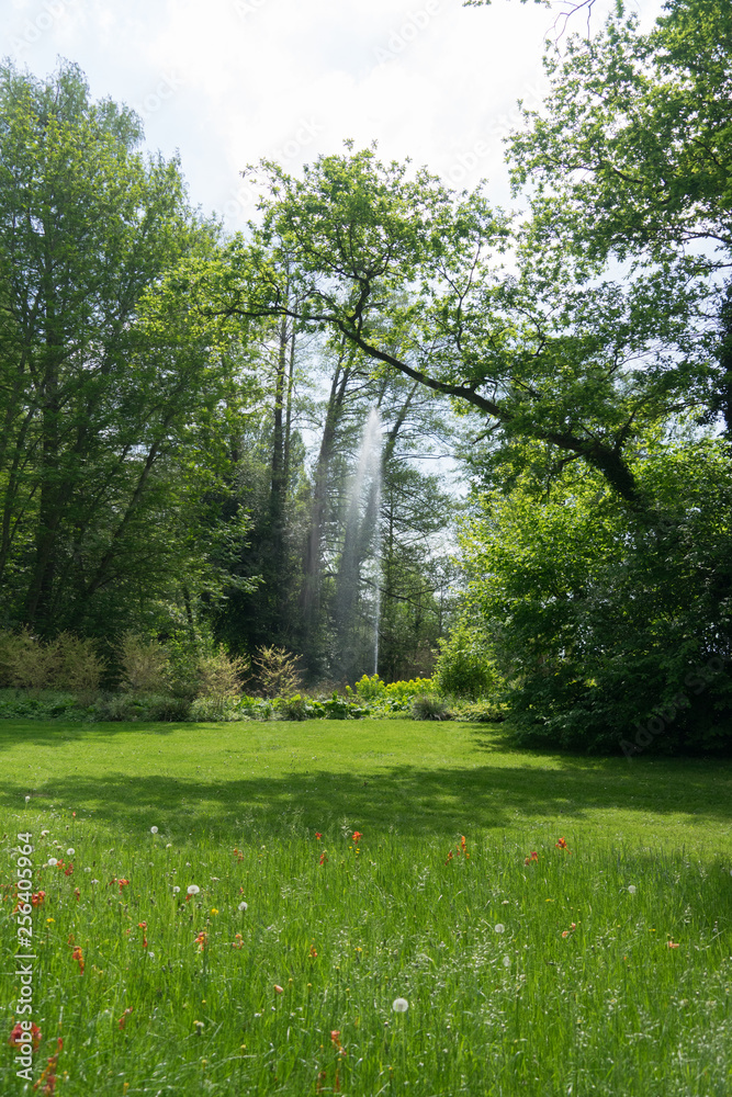Grüne Landschaft mit Fontäne auf der Insel Mainau im Frühling