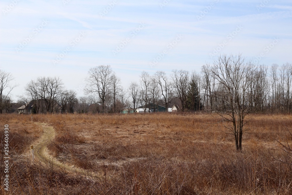 A view of the brown grass prairie field in the countryside.