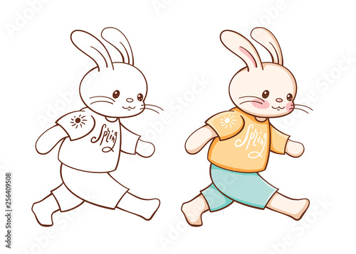 funny cartoon Bunny