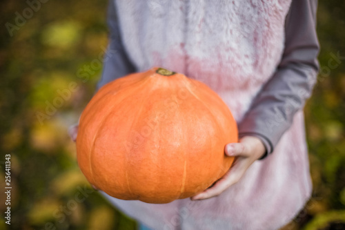 Pumpkin in girls hands