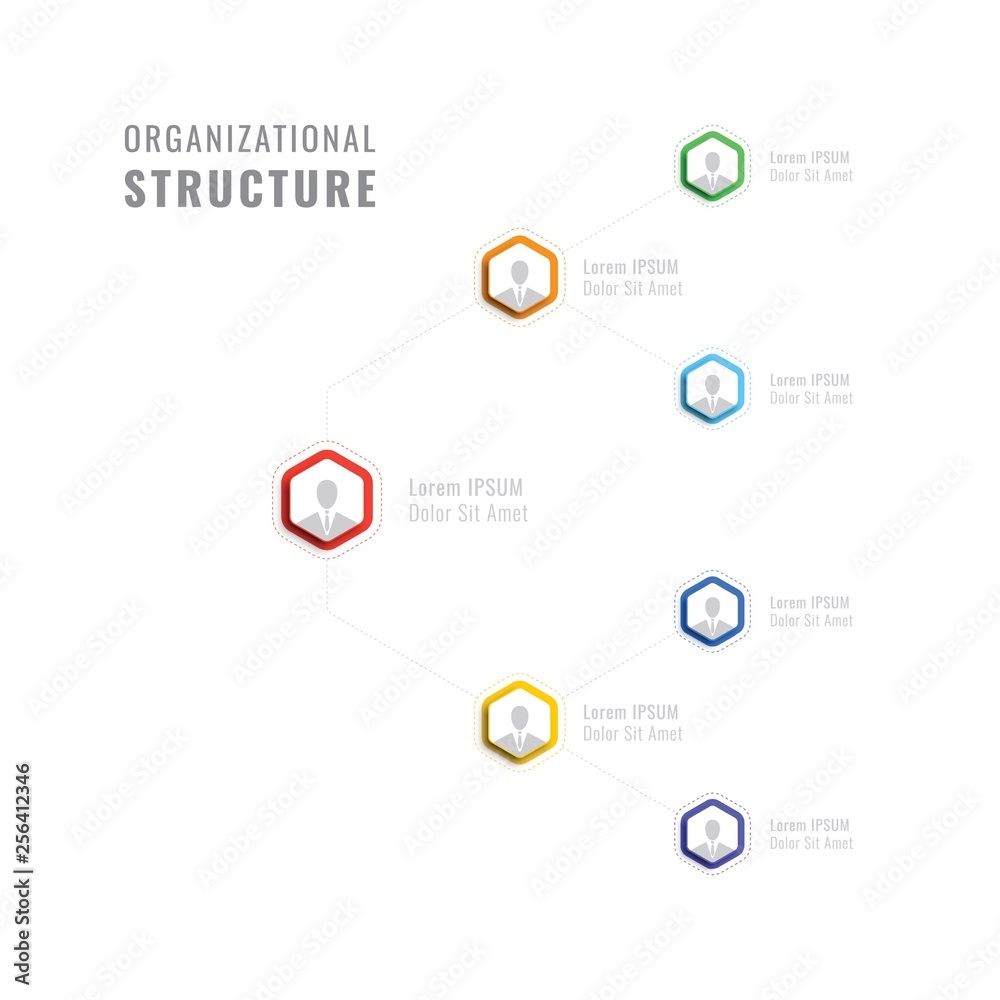 organizational structure of the company. business hierarchy hexagonal