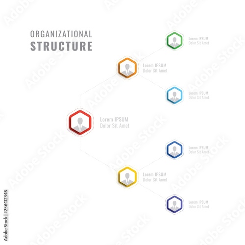 organizational structure of the company. business hierarchy hexagonal infographic elements. multilevel business management structure