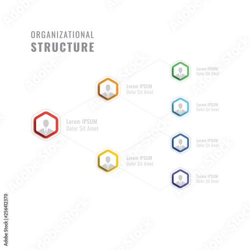 organizational structure of the company. business hierarchy hexagonal infographic elements. multilevel business management structure