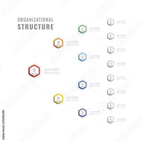 organizational structure of the company. business hierarchy hexagonal infographic elements. multilevel business management structure