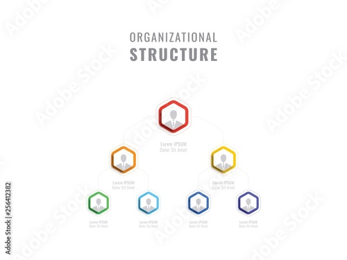 organizational structure of the company. business hierarchy hexagonal infographic elements. multilevel business management structure