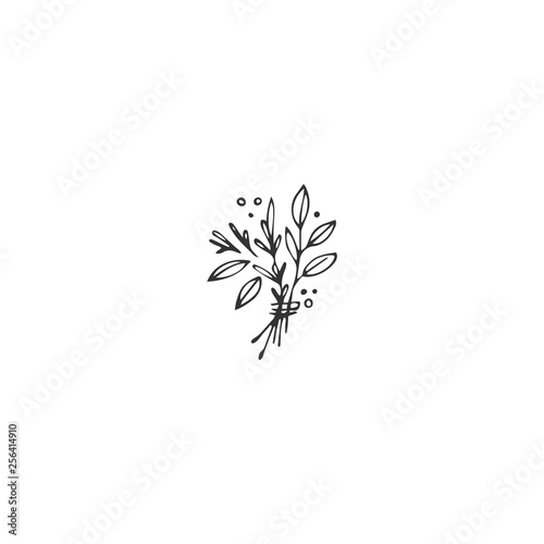 Vector hand drawn object, a sbunch of spices. Kitchen logo element.