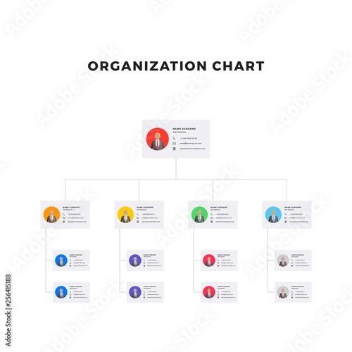 organizational structure of the company. business hierarchy infographic elements. multi-level business management structure. modern corporate tree layout design. flat vector illustration. eps 10