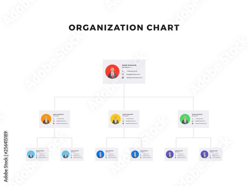organizational structure of the company. business hierarchy infographic elements. multi-level business management structure. modern corporate tree layout design. flat vector illustration. eps 10