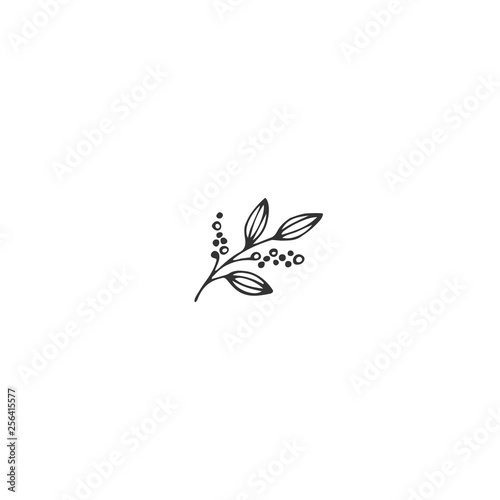 Vector hand drawn object, a sprig of pepper. Kitchen logo element.