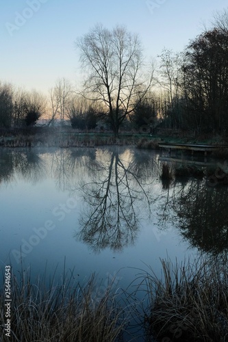 Obraz na płótnie first light on a spring morning seen reflected in a lake w salonie