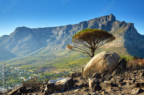 Table mountain, Cape Town photo