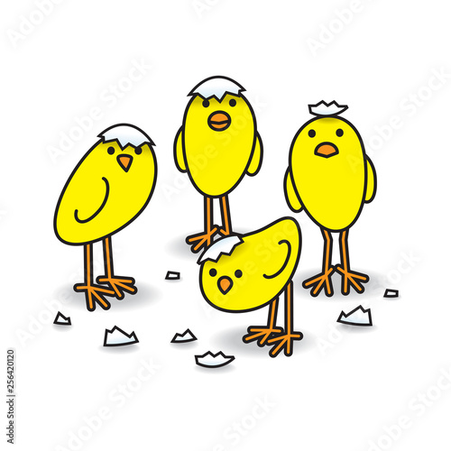 Four Cute Freshly Hatched Staring Yellow Chicks