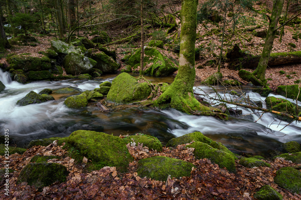 Wasserfall mit Steinen voller Moos Wasserfall mit Steinen voller Moos