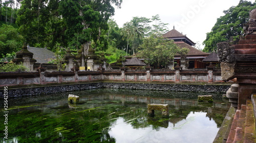 Bassin temple indonésien