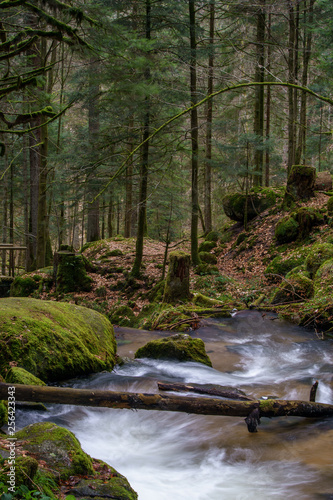 Wasserfall mit Steinen voller Moos © kfritsch_69