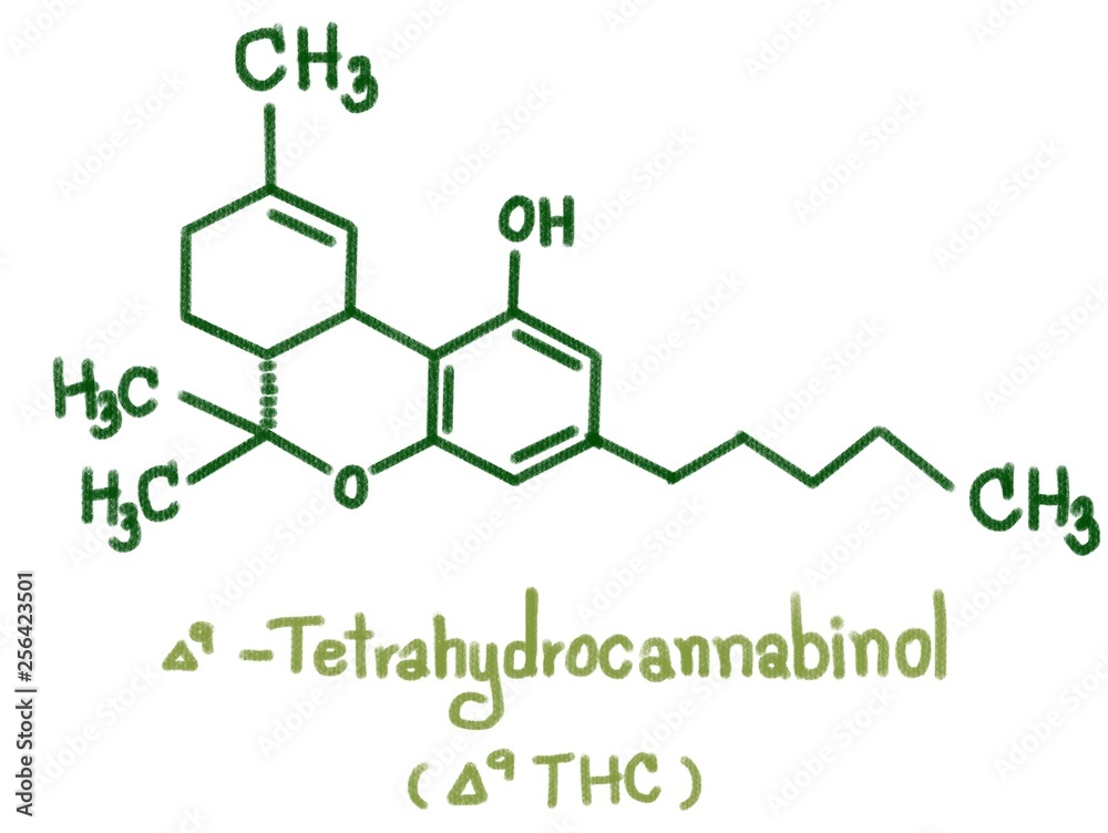 Structure of delta-9-Tetrahydrocannabinol (THC). Nine THC-type cannabinoids with C1To C5 side chain isolated form cannabis plant call marijuana. Illustration Structure of delta-9-Tetrahydrocannabinol (THC). Nine THC-type cannabinoids with C1To C5 side chain isolated form cannabis plant call marijuana. Illustration