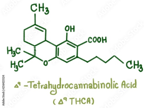 Structure of delta-9-Tetrahydrocannabinolic acid (THCA). Nine THC-type cannabinoids with C1To C5 side chain isolated form cannabis plant call marijuana.