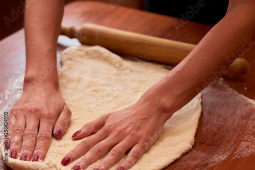 Dough for pizza. Rolling pin and dough on wooden background © Владислав Легір