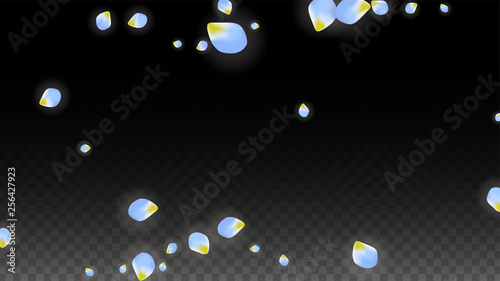Vector Realistic Blue Petals Falling on Transparent Background.  Spring Romantic Flowers Illustration. Flying Petals. Sakura Spa Design. Blossom Confetti.