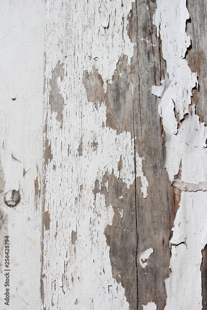 white peeling paint on wood plank background white peeling paint on wood plank background