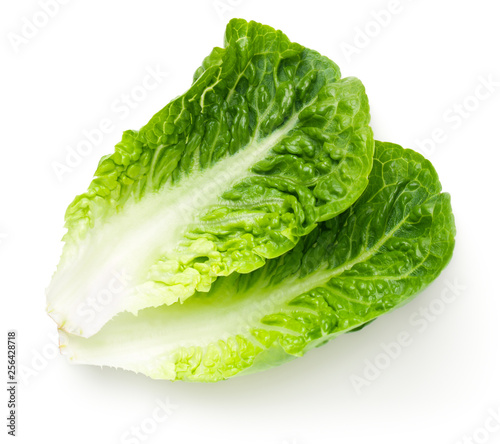 Romaine Lettuce Leaves Isolated On White Background