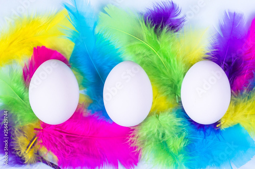 Happy Easter composition with white eggs and colorful feathers on light pastel background. Minimal style, flat lay. Copy space