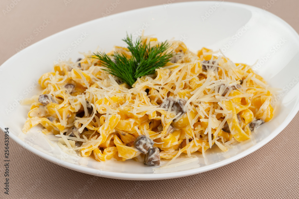 pasta with cheese in a white plate pasta with cheese in a white plate