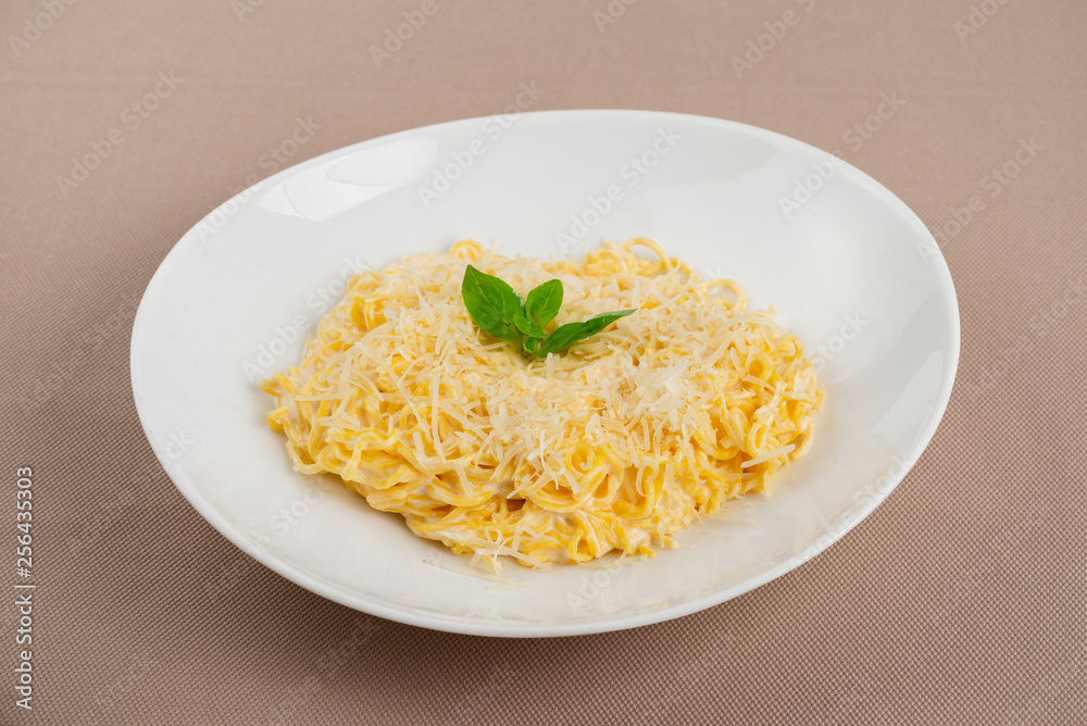pasta with cheese in a white plate pasta with cheese in a white plate