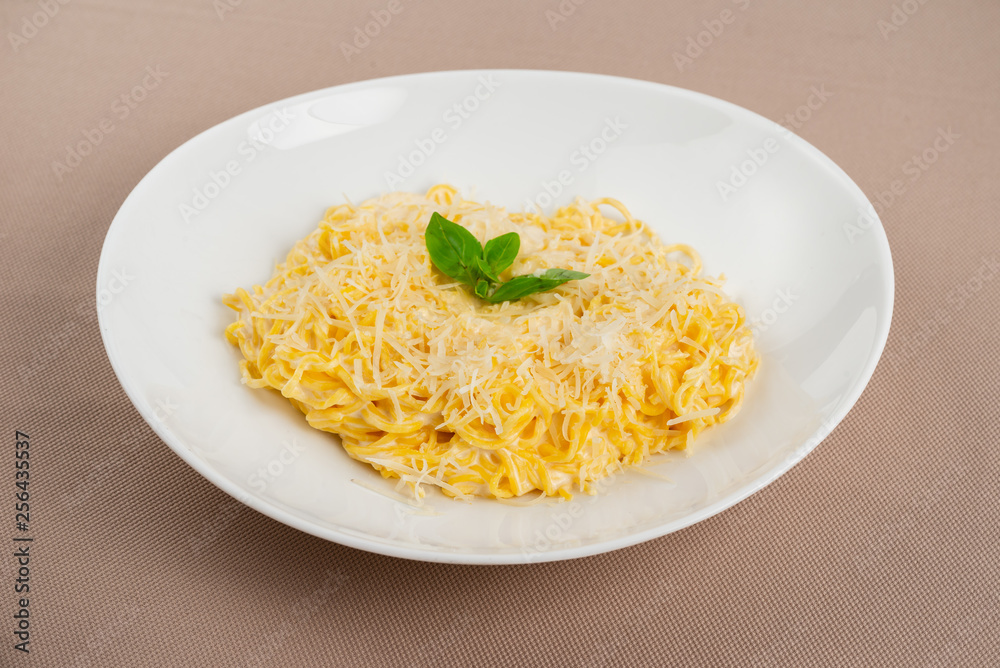 pasta with cheese in a white plate pasta with cheese in a white plate