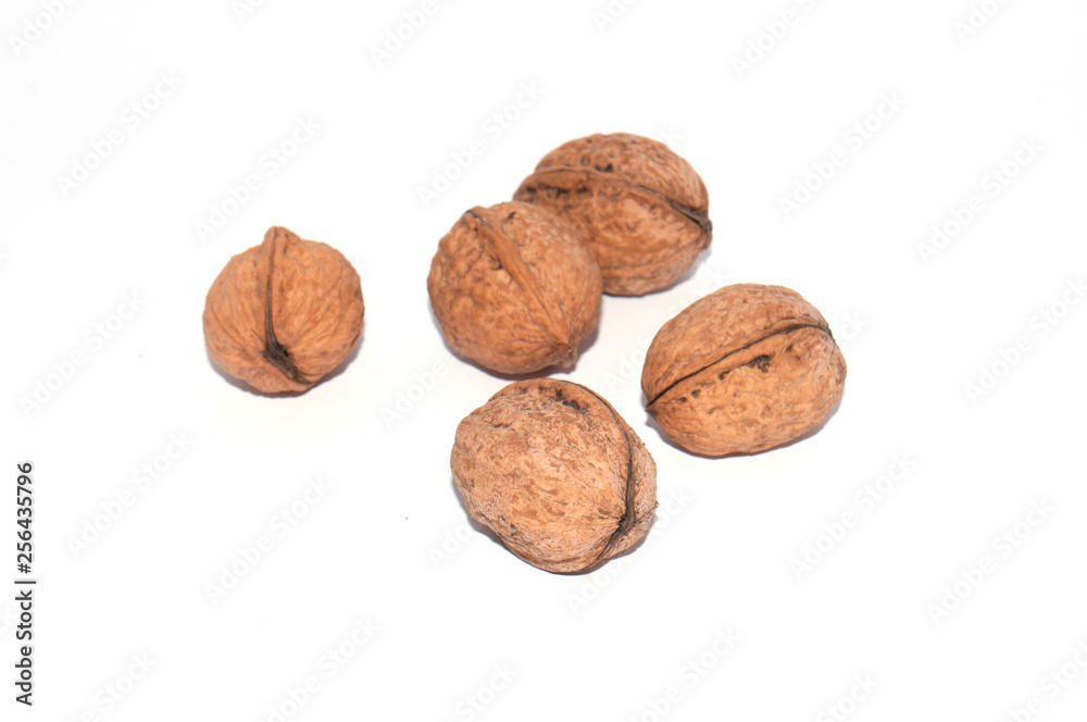 walnuts on a white background isolated macro walnuts on a white background isolated macro