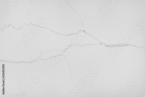 White or gray marble texture with black line nature patterns for background