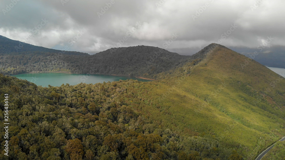 Obraz premium Aerial view of Lake Rotoaira and surrounding forest in Tongariro National Park