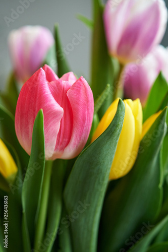 Spring bouquet of colorful tulips.