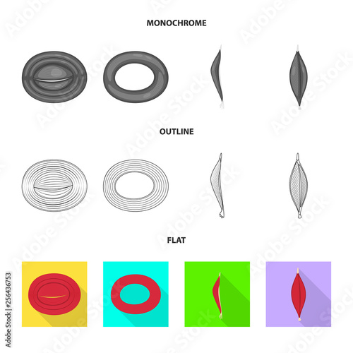 Vector illustration of fiber and muscular symbol. Set of fiber and body  stock vector illustration.