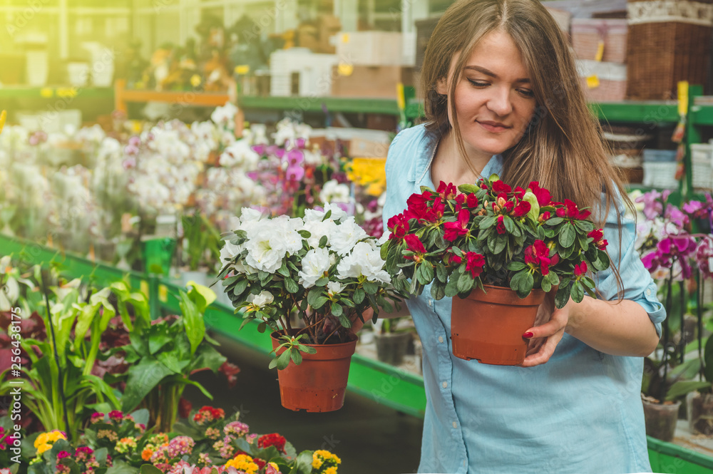 Beautiful female customer smelling colorful blooming flowerpots in the retail store. 